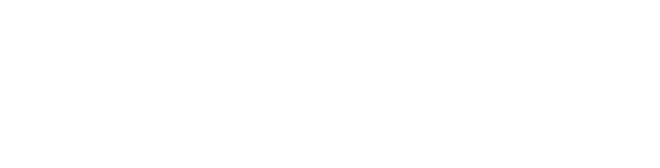 Drive It Logo